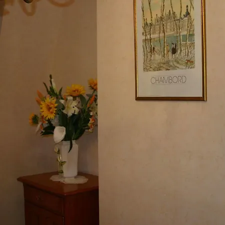 La Touraine Romantique Apartamento *